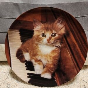 Kitten on the keys plate